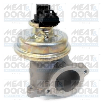 EGR Valve